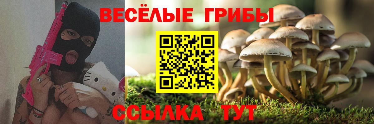 Псилоцибиновые грибы Psilocybe  что такое   Скопин  Вход с VPN 